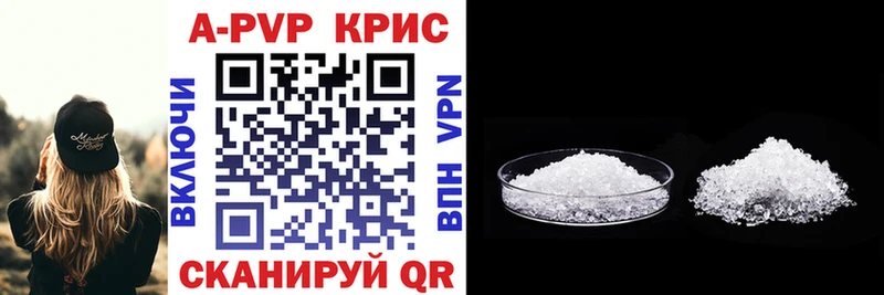 APVP СК  Орлов 