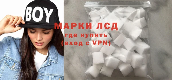шишки Медвежьегорск