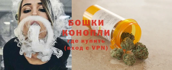 шишки Медвежьегорск