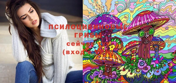 mdpv Михайловск
