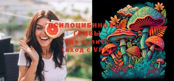 mdpv Михайловск