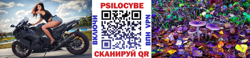 blacksprut ONION  Орлов  Псилоцибиновые грибы GOLDEN TEACHER  darknet формула  где купить наркотик 
